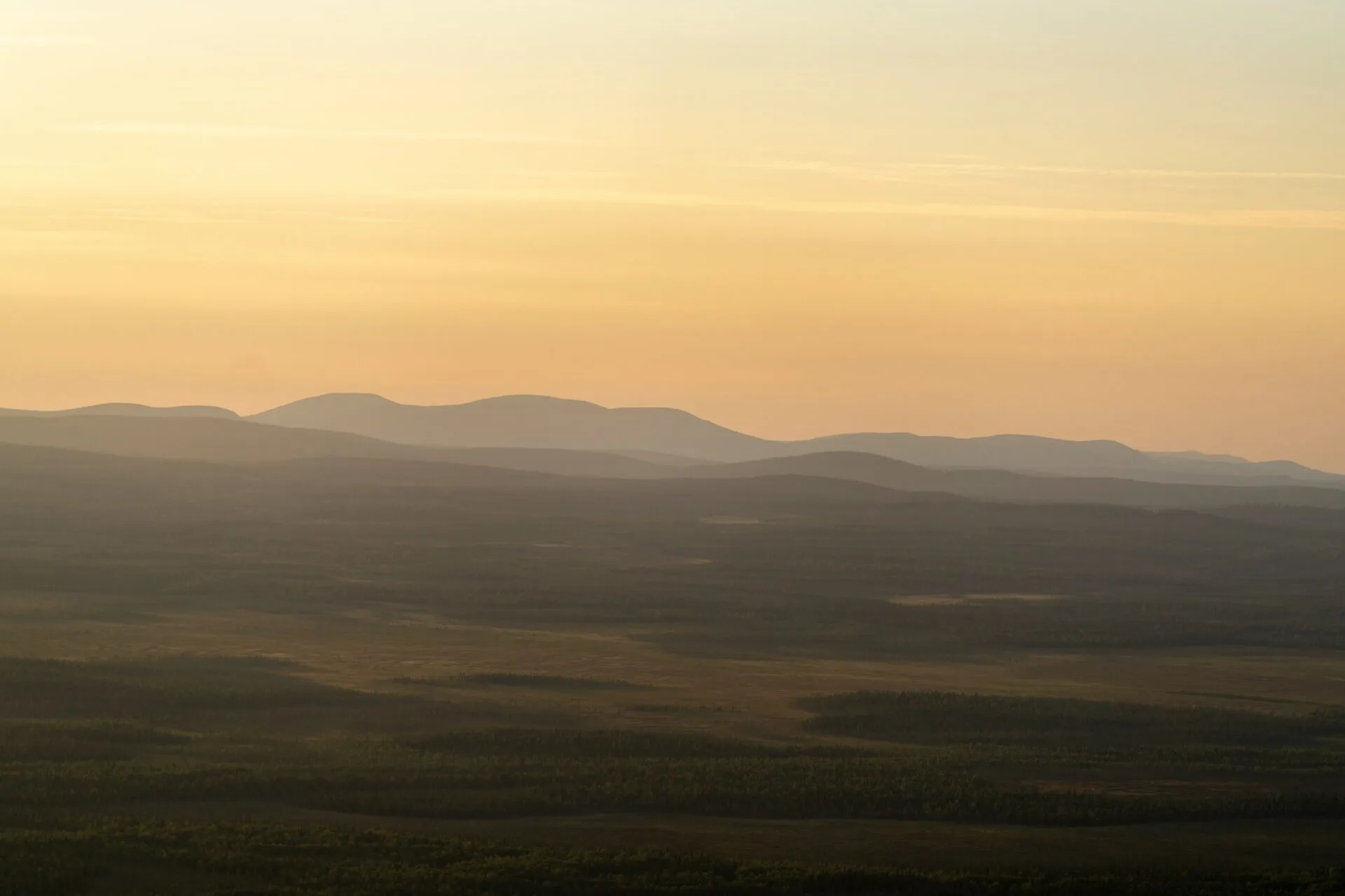 Scenic view of rolling hills under a golden sunset, with vast forested plains in the foreground."